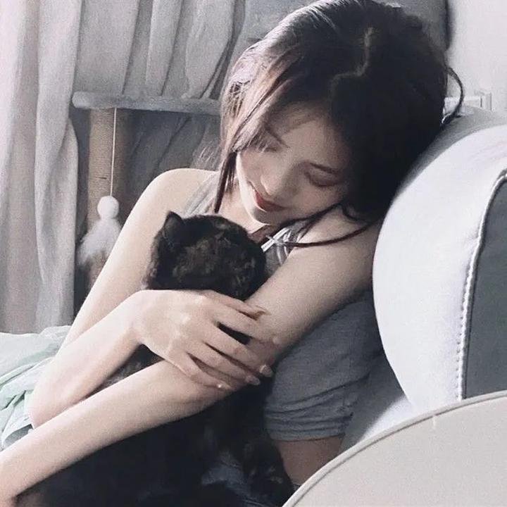 堪萨斯小猫